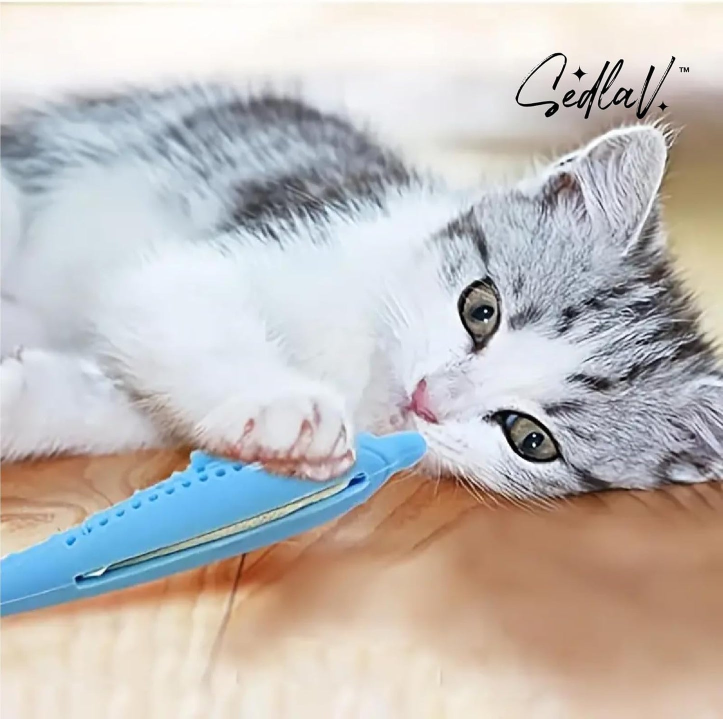 Juguete Molar Para Encias Gatos Pescado Con Catnip Zooko