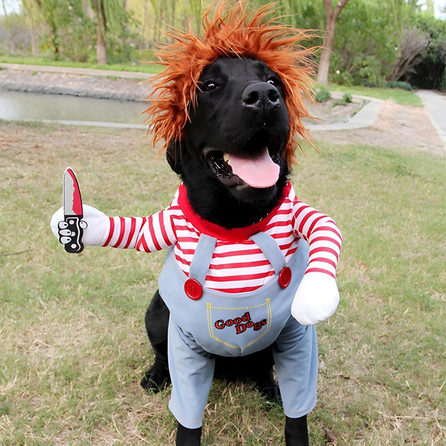 Disfraz Para Perros Y Gatos Diseño Chucky Halloween Mascotas
