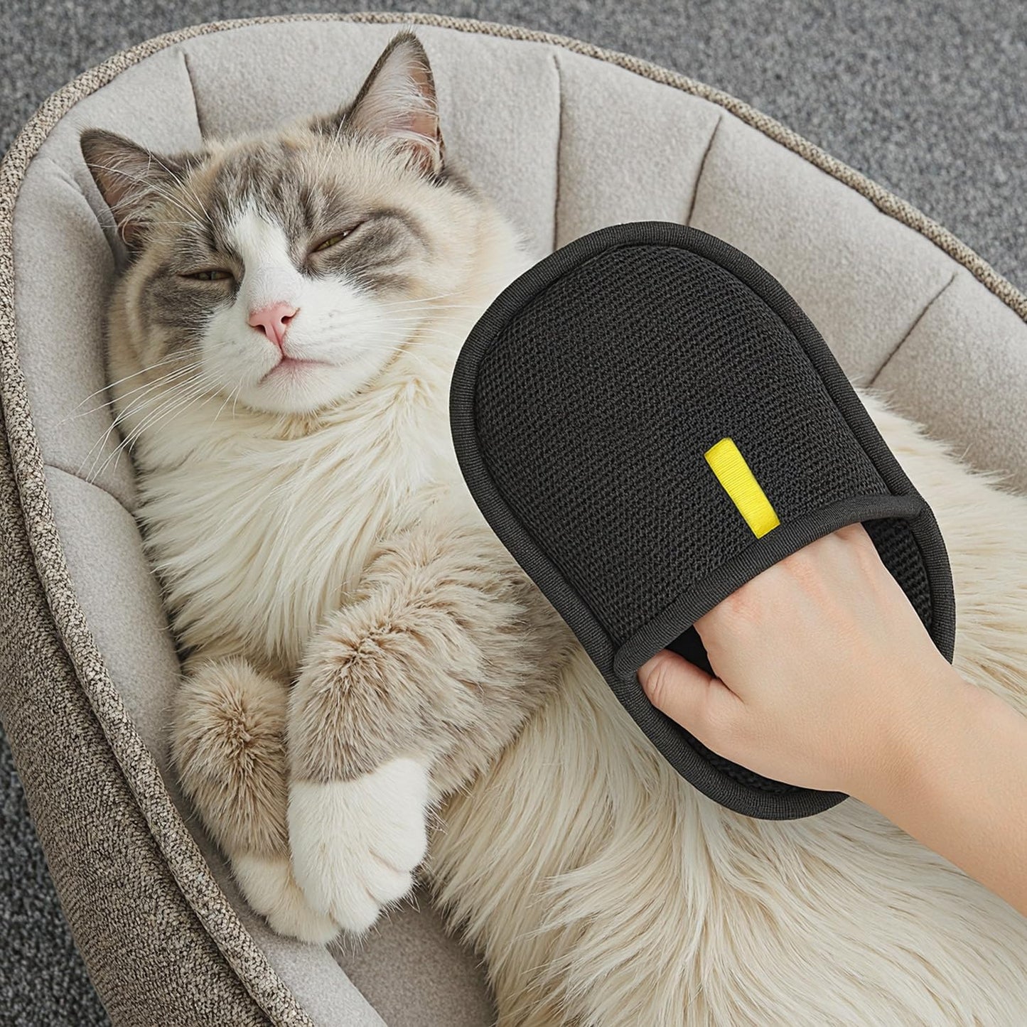2 Guantes Quita Pelos Para Mascotas Sofa Perros, Gatos Zooko