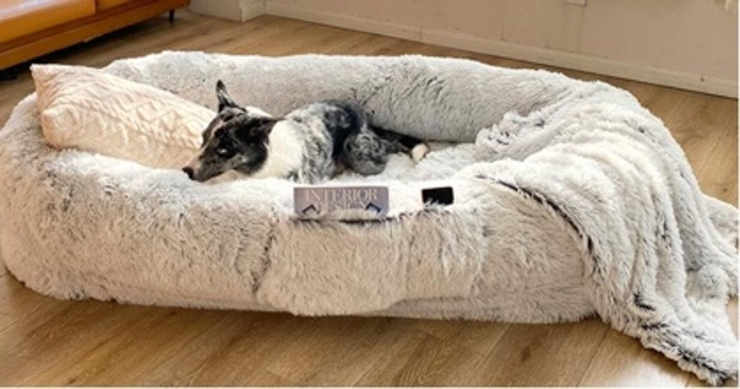Cama Sofa Gigante Felpada Mascotas Perros Gatos Familiar