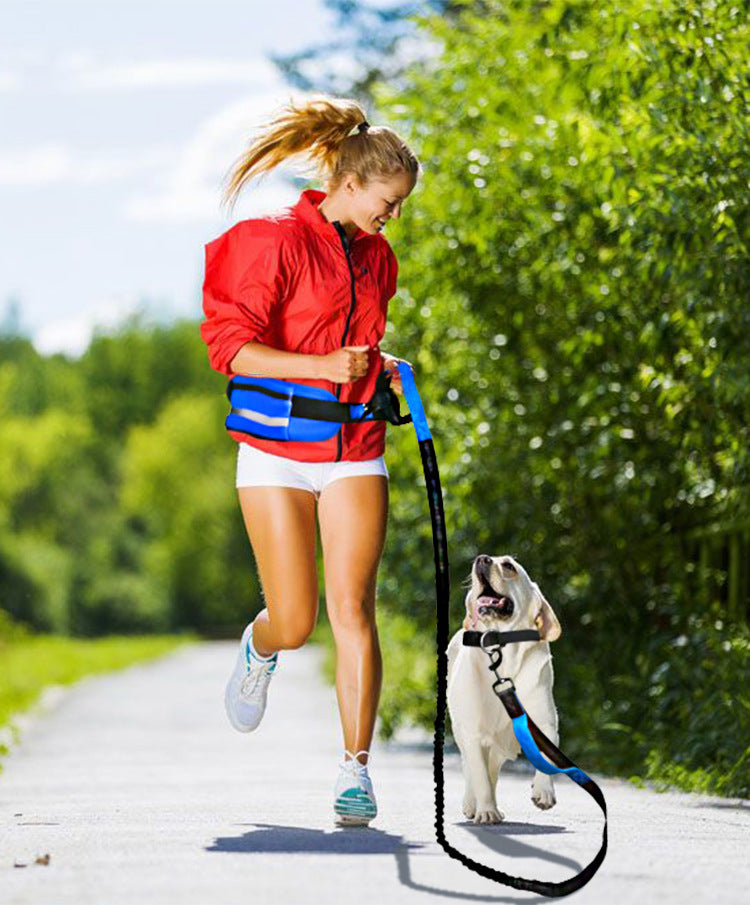 Correa Cinturón Para Correr Running Perro Mascotas Zooko