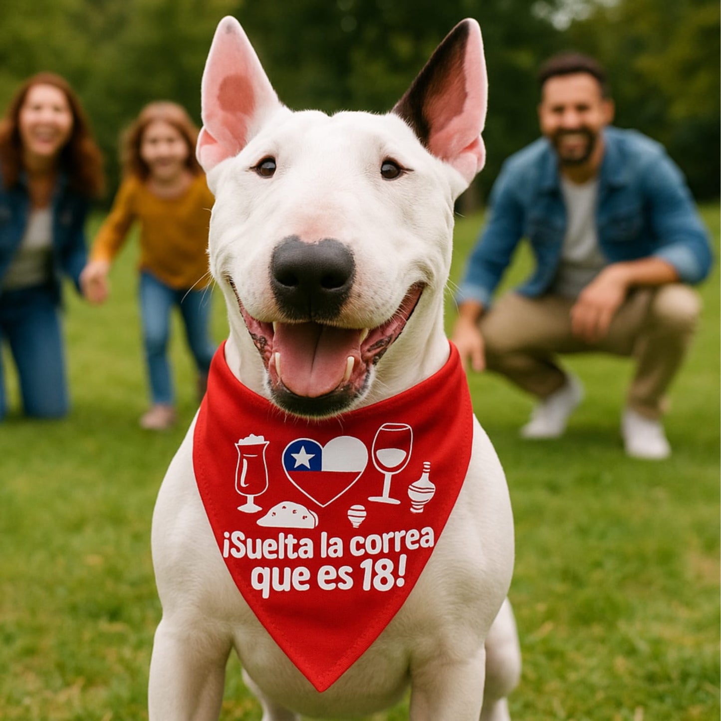 Collar Bandana Fiestas Patrias 18 Chile Mascotas - Zooko