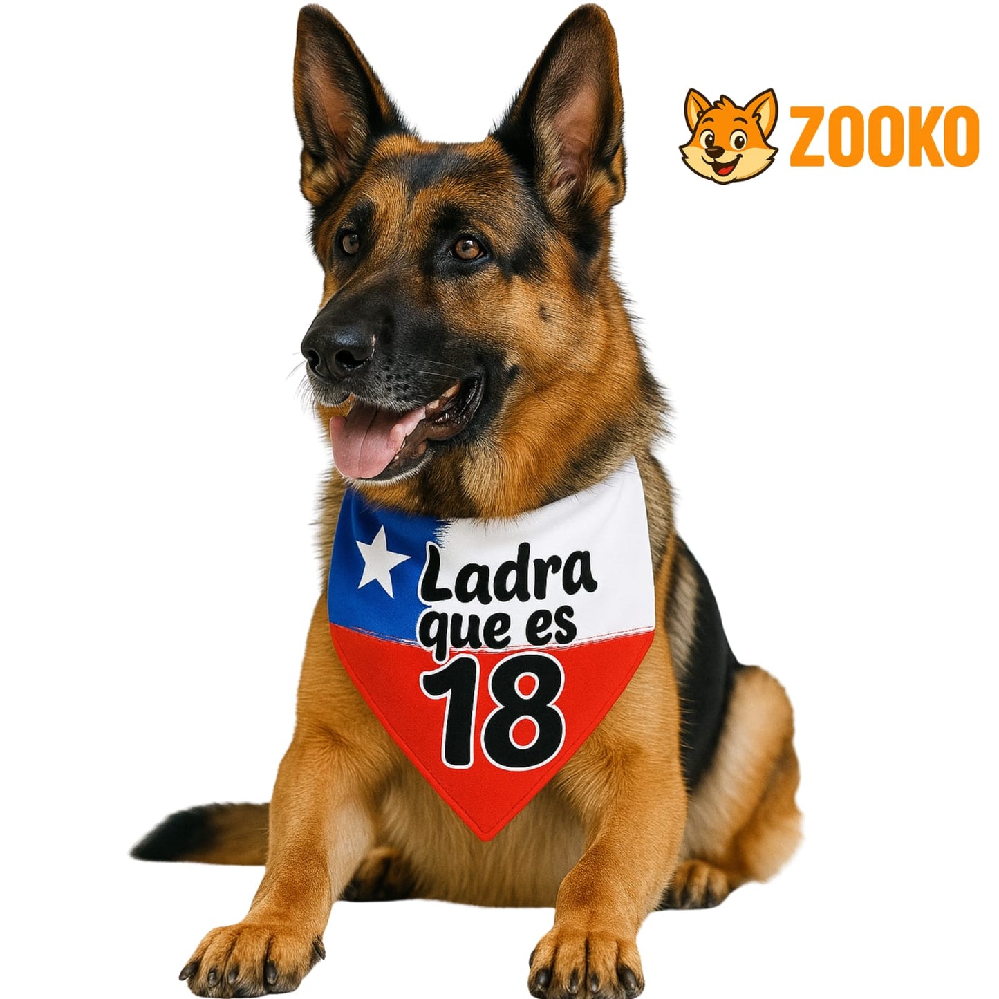 Collar Bandana Fiestas Patrias Ladra Que Es 18 Mascota Zooko