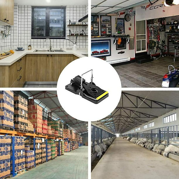 Trampa Ratones Lauchas Jaula Trampa Roedores