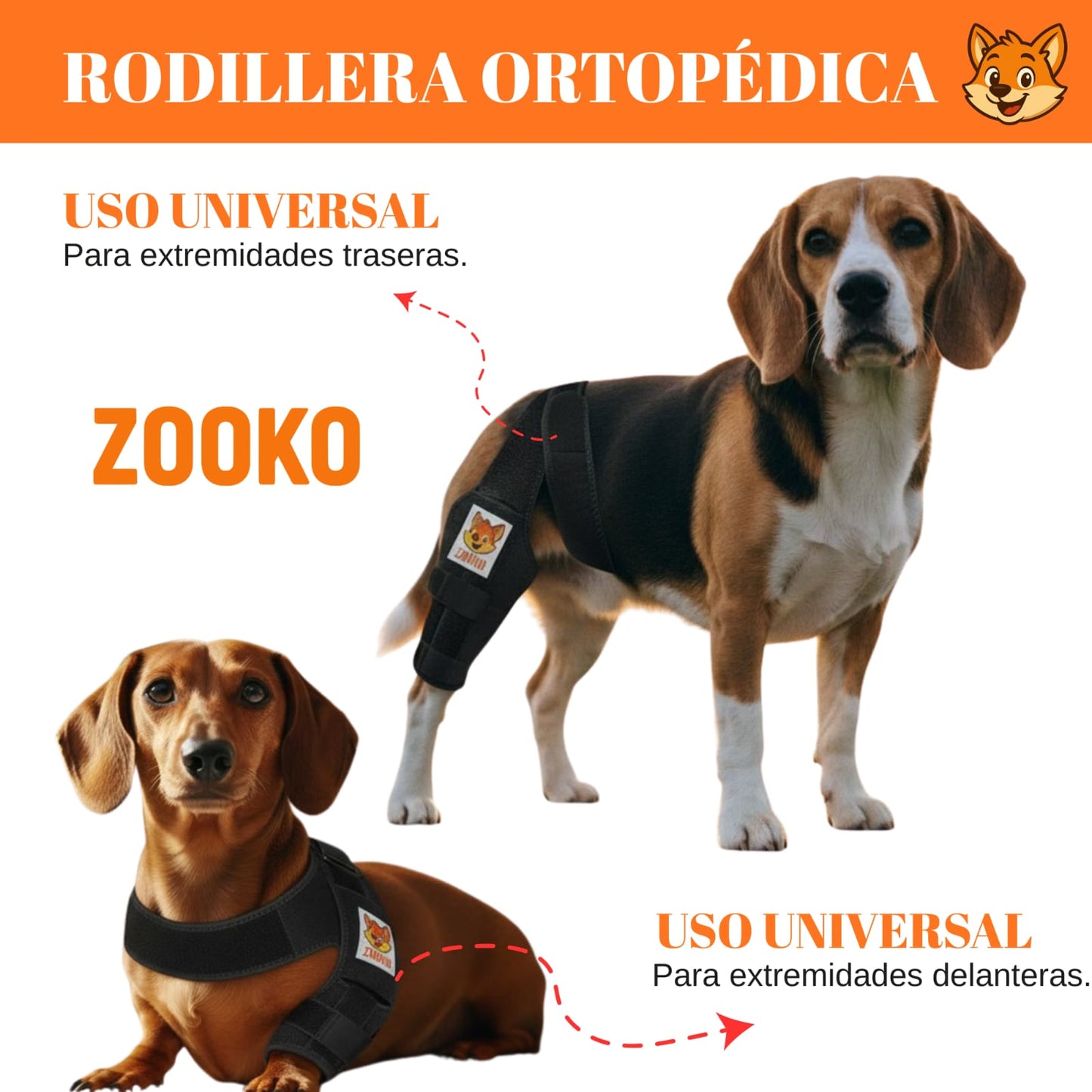 Rodillera Zooko Ortopédica Protector Perro Soporte Rodilla