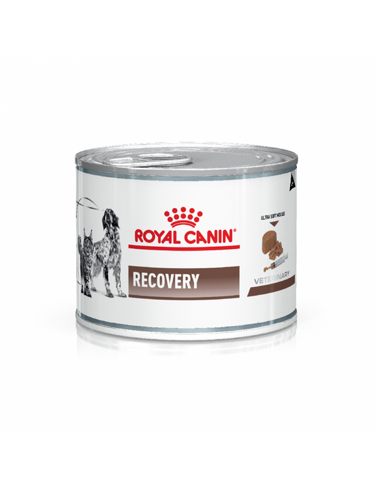 Royal Canin Recovery Perros Y Gatos Lata 145 Grs