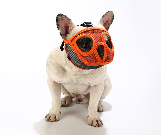 Bozal Corto Bozales Perros Braquiocefálico Bosal Talla S