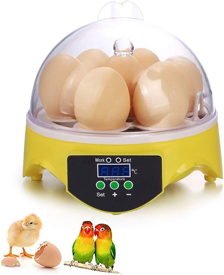 Incubadora Led Para 7 Huevos Incubadoras Control Temperatura