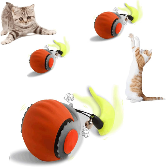 Pelota Smart Usb Sensorial Con Movimiento Juguete Para Gatos
