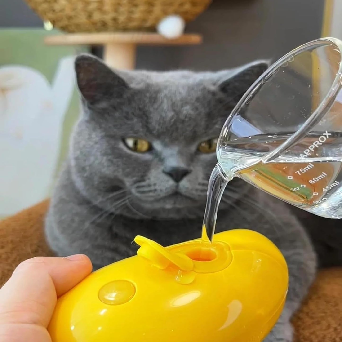 Cepillo Para Gatos Mascotas A Vapor Electrico Usb