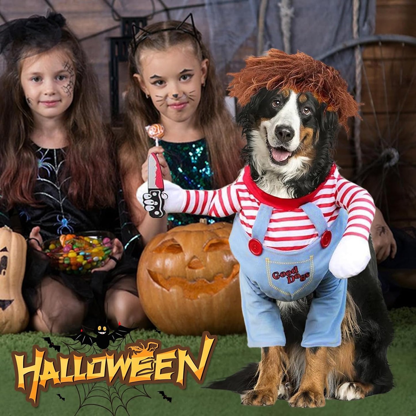 Disfraz Para Perros Y Gatos Diseño Chucky Halloween Mascotas