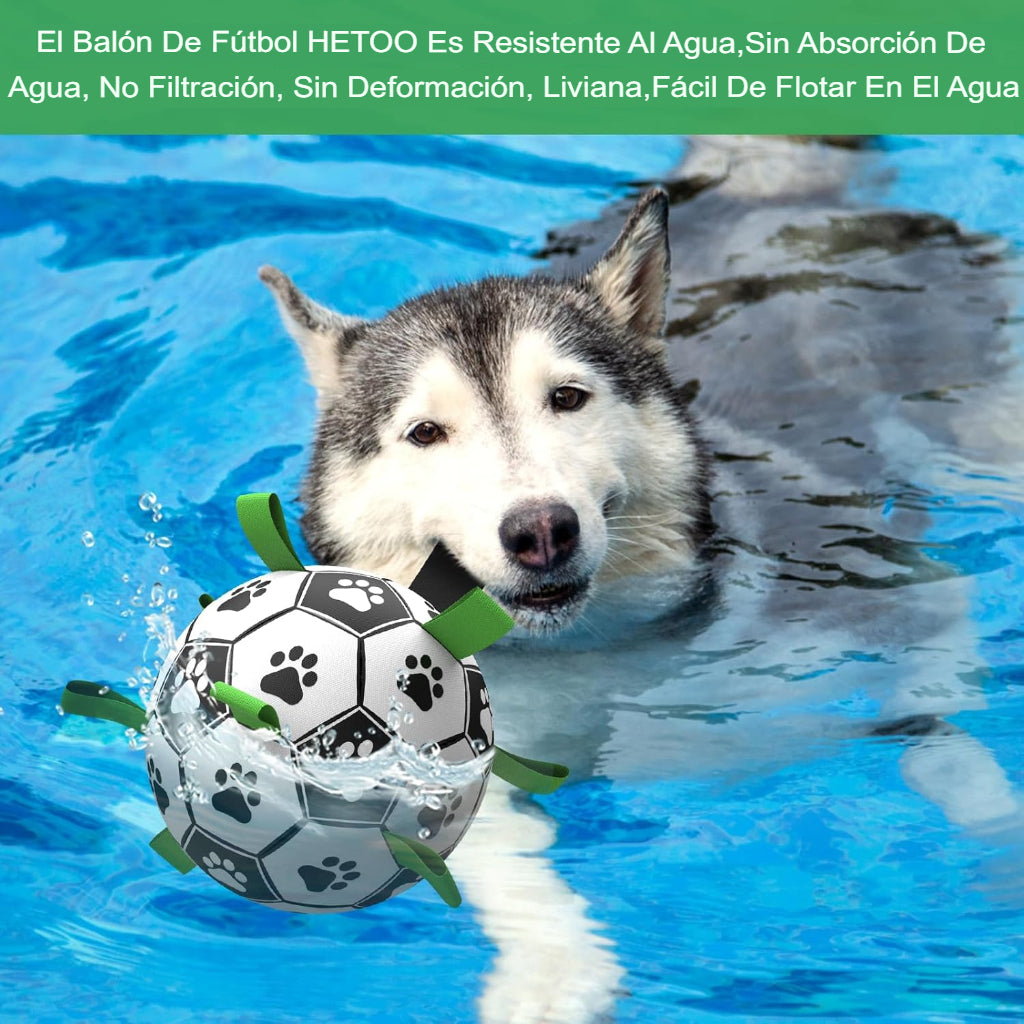 Pelota Interactiva Con Agarre Para Perros Con Bombin Zooko