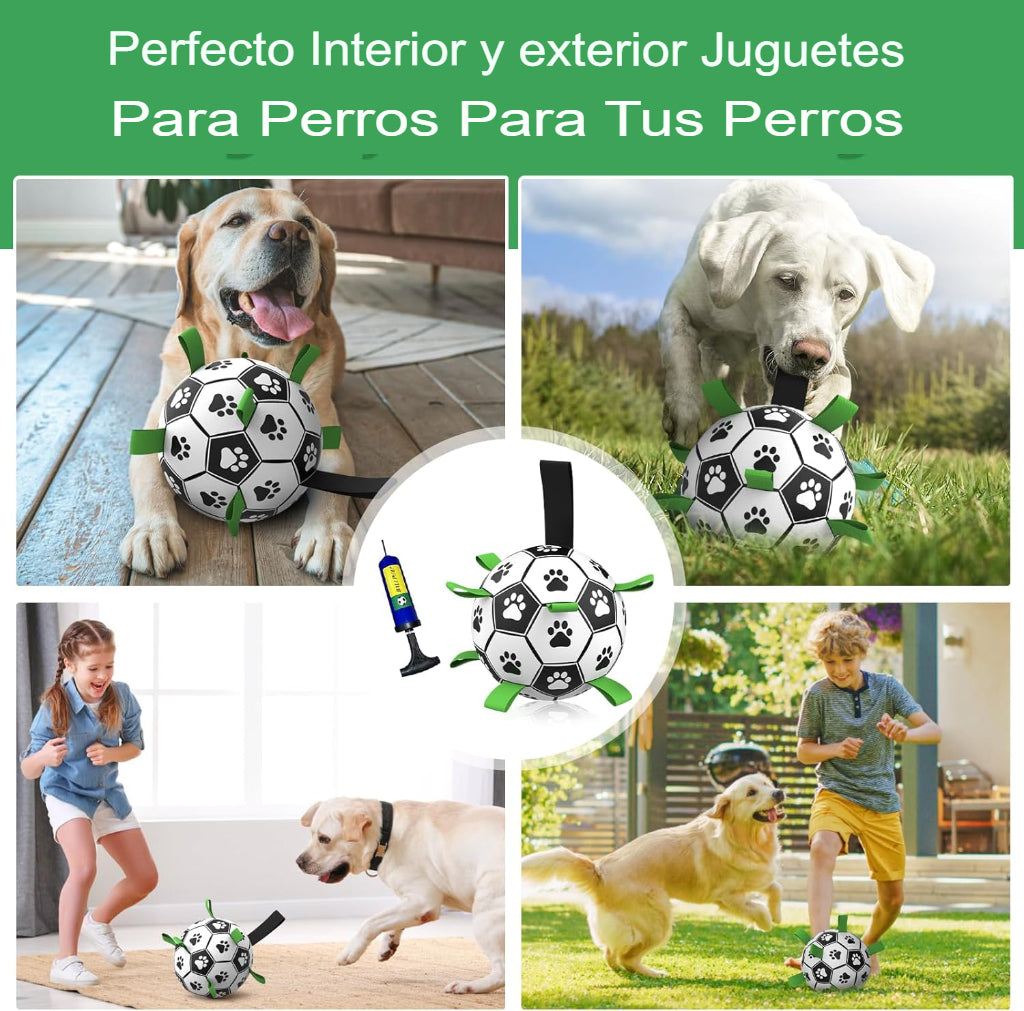Pelota Interactiva Con Agarre Para Perros Con Bombin Zooko