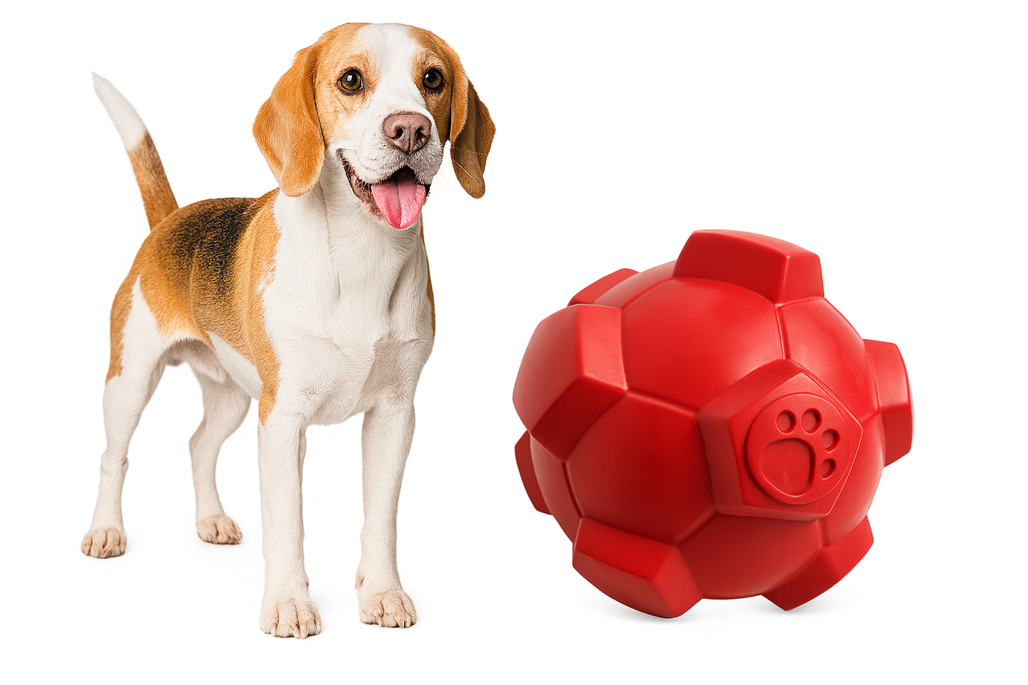 Pelotas Para Perros Tipo Kong Pelota Juguetes Mascotas Zooko