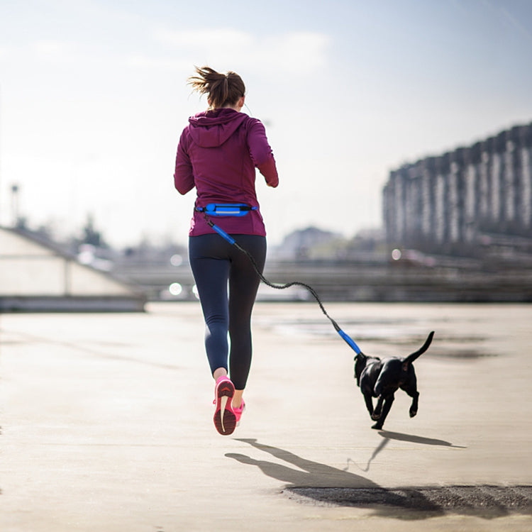 Correa Cinturón Para Correr Running Perro Mascotas Zooko