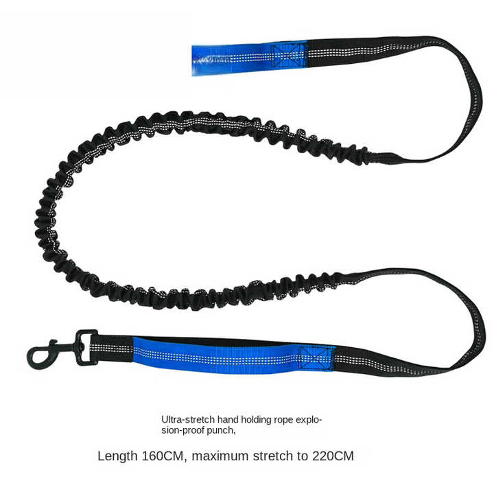 Correa Cinturón Para Correr Running Perro Mascotas Zooko