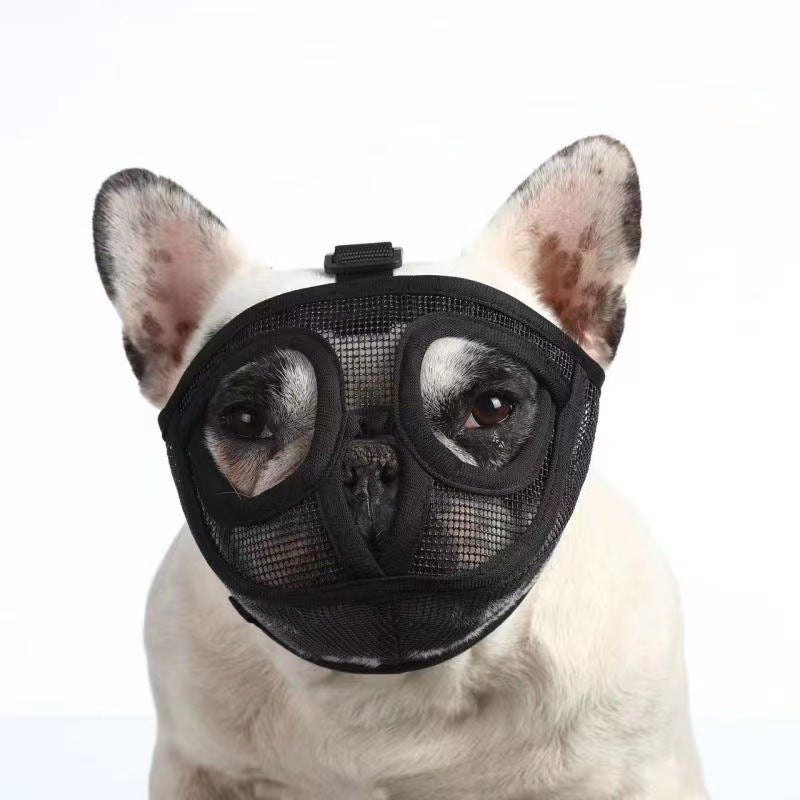 Bozal Corto Bozales Perros Braquiocefálico Bosal Talla S