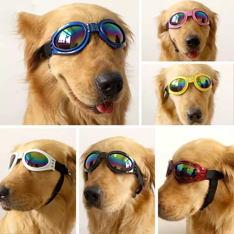 Gafas Lentes De Sol Uv Para Perro Mascotas