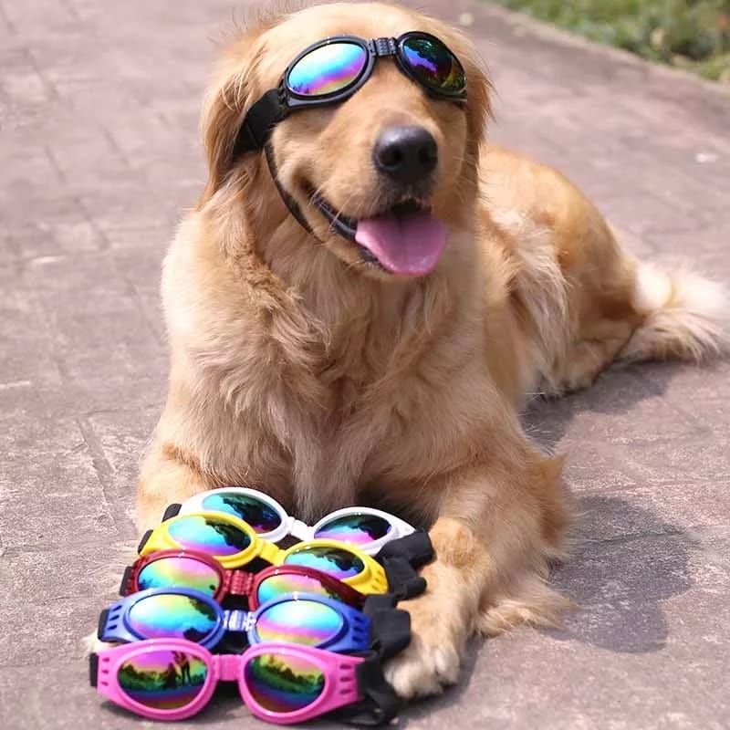 Gafas Lentes De Sol Uv Para Perro Mascotas