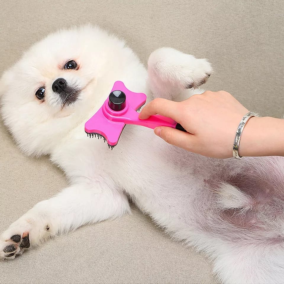 Cepillo Para Mascotas Con Botón Extractor Fácil Limpieza