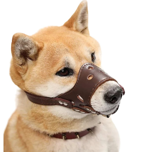 Bozal Para Perros En Cuero Vegano Resistente Y Reforzado