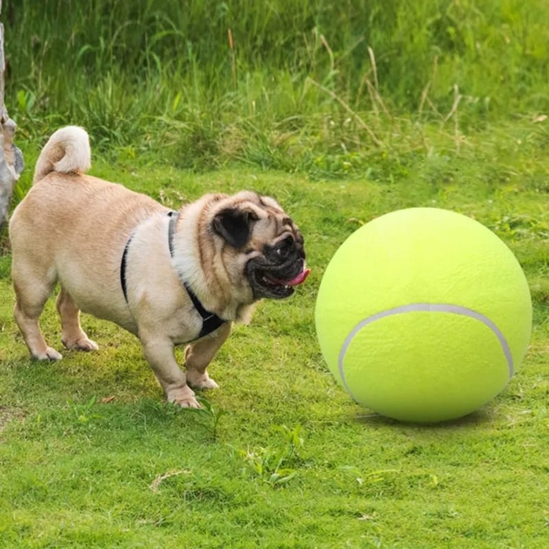 Pelota Tenis Gigante Para Mascota Grande Perros 24 Cm