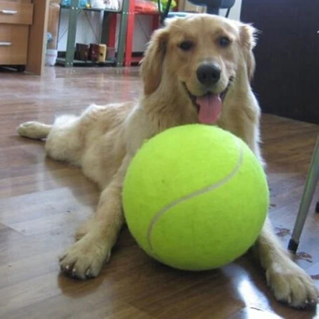 Pelota Tenis Gigante Para Mascota Grande Perros 24 Cm