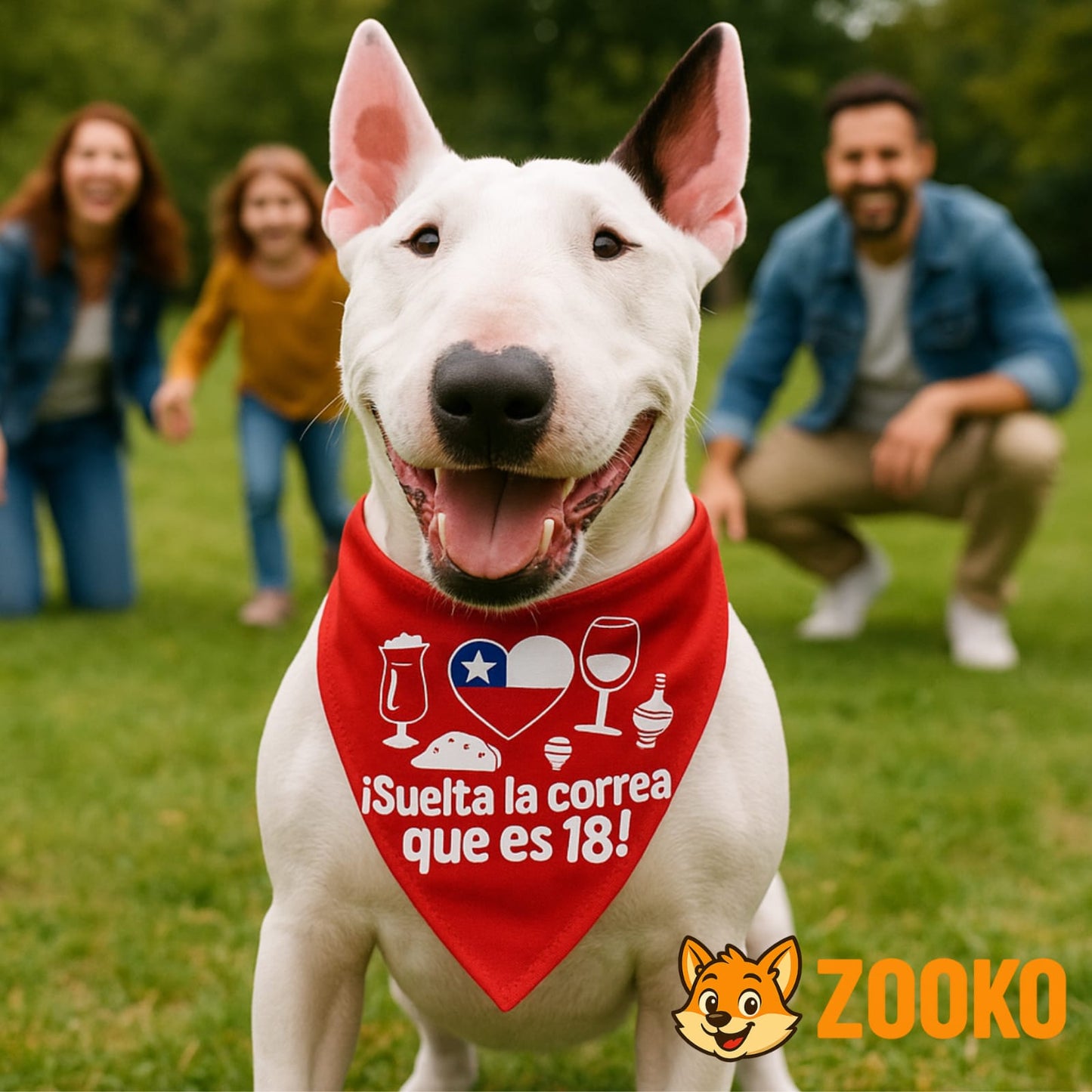 Collar Bandana Fiestas Patrias 18 Chile Mascotas - Zooko