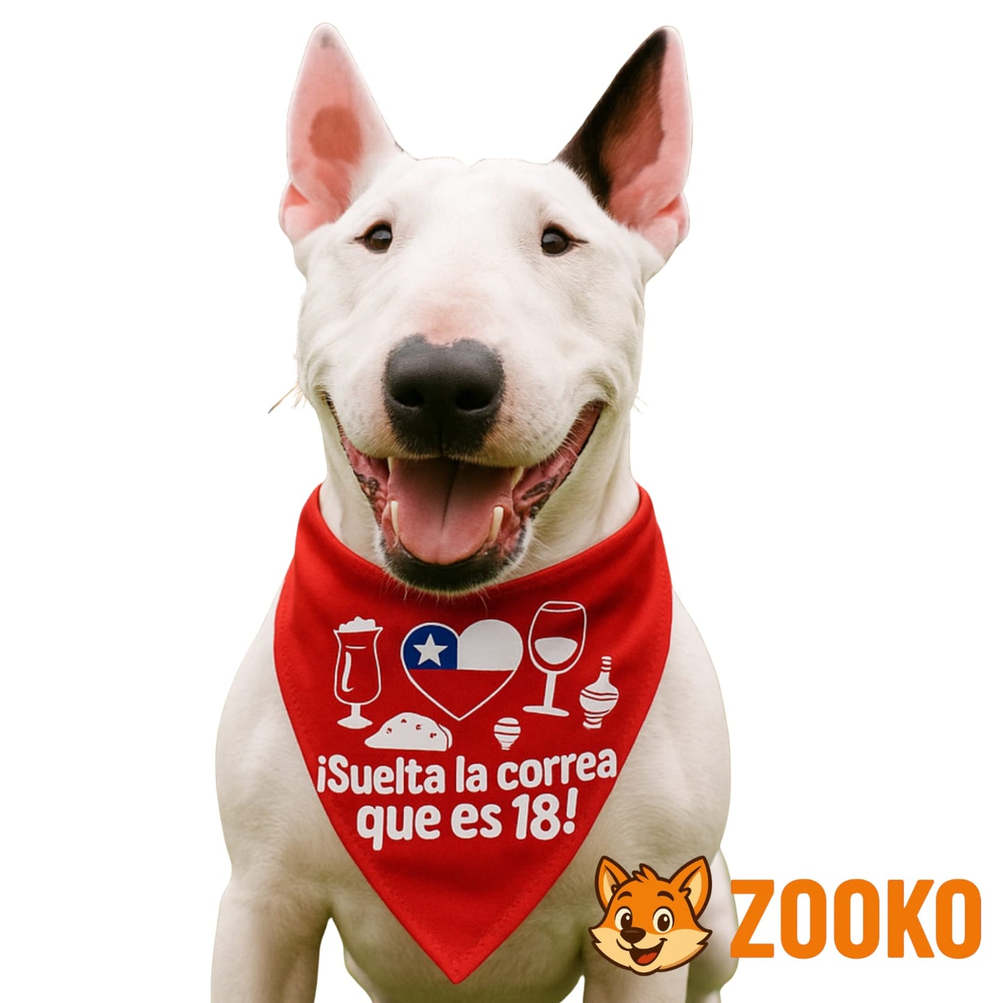 Collar Bandana Fiestas Patrias 18 Chile Mascotas - Zooko