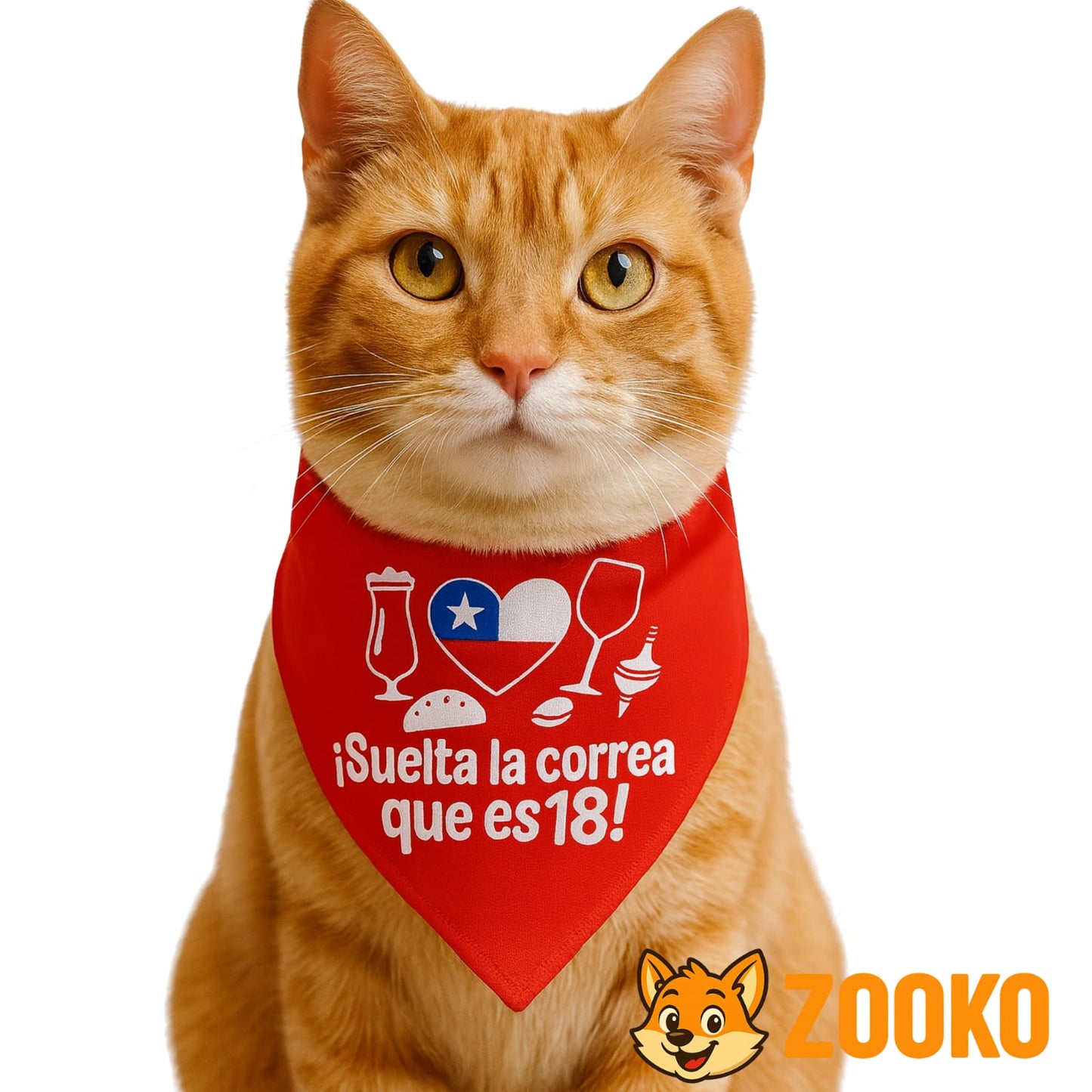 Collar Bandana Fiestas Patrias 18 Chile Mascotas - Zooko