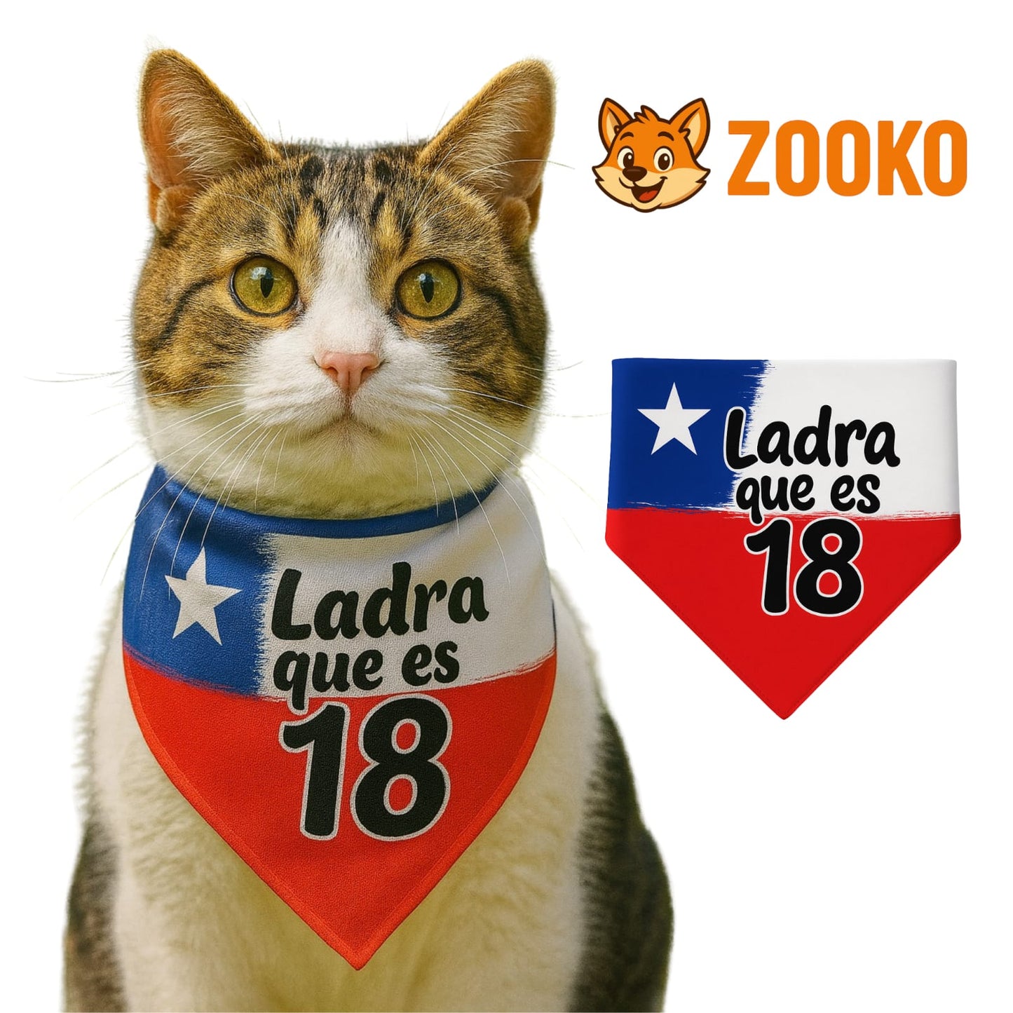 Collar Bandana Fiestas Patrias Ladra Que Es 18 Mascota Zooko