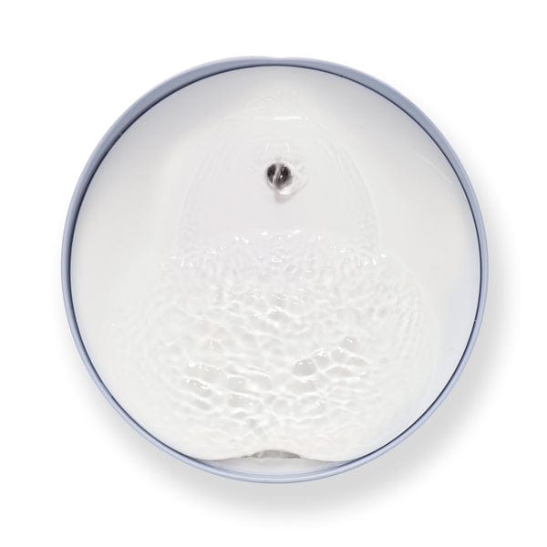 Bebedero Fuente Automática Catit Pixi Gatos Blanco 2l