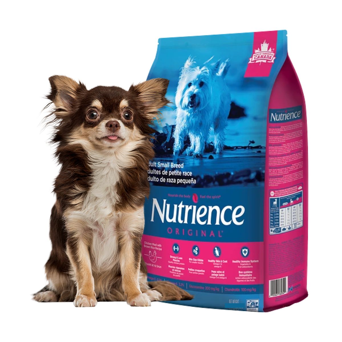 Comida Para Perro Small Adulto Nutrience Original 5 Kg
