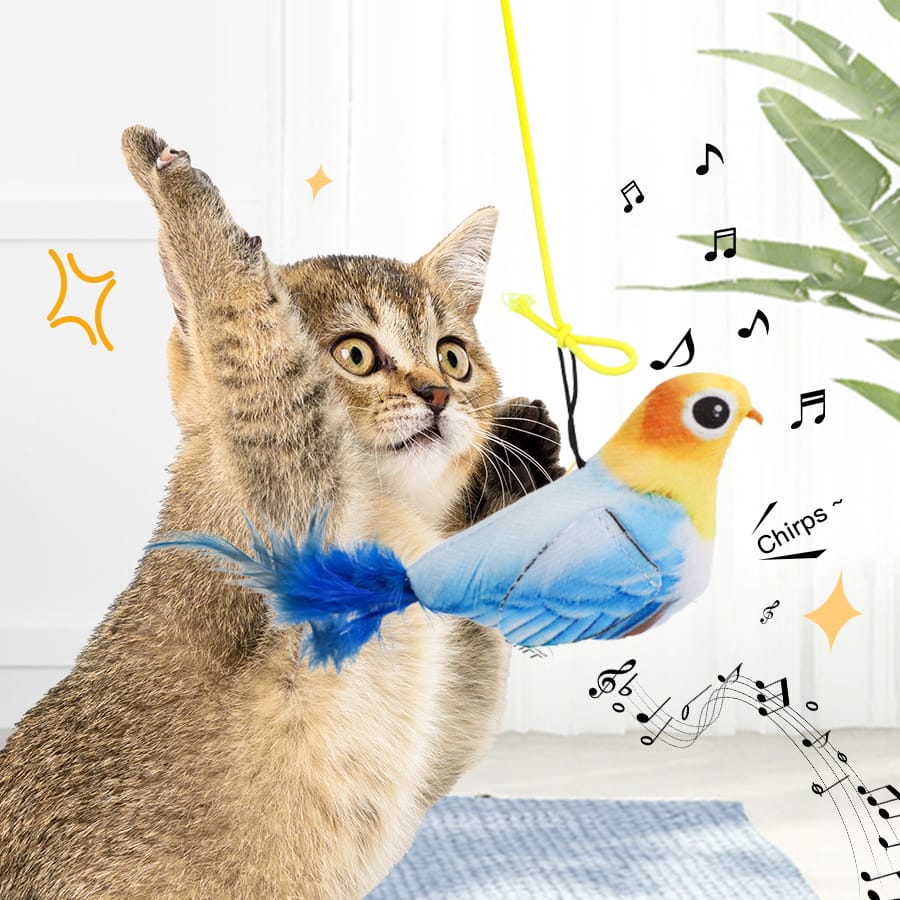 Pájaro Caza Peluche Juguete Con Cuerda Sonido Para Gatos