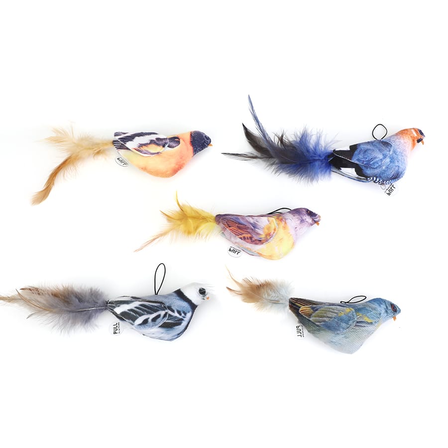 Pájaro Caza Peluche Juguete Con Cuerda Sonido Para Gatos