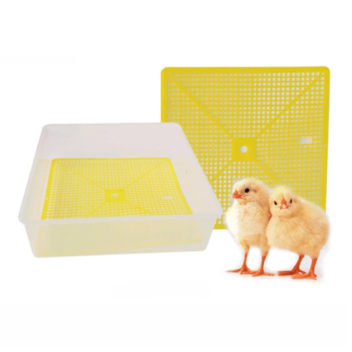 Incubadora Huevos Encubadora Automatica 56 A 112 Huevos