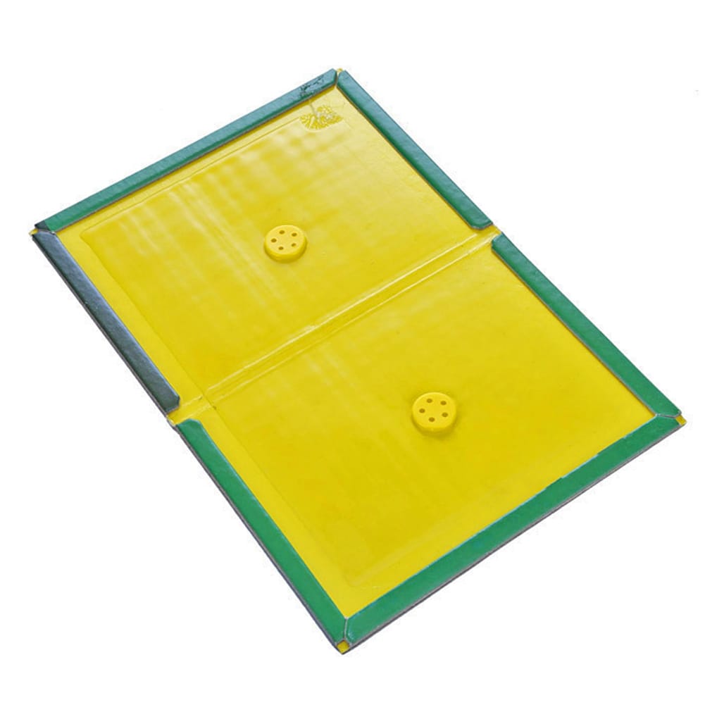 Pack 10 Trampas Raton Pegajosa Adhesiva Control Pegamento