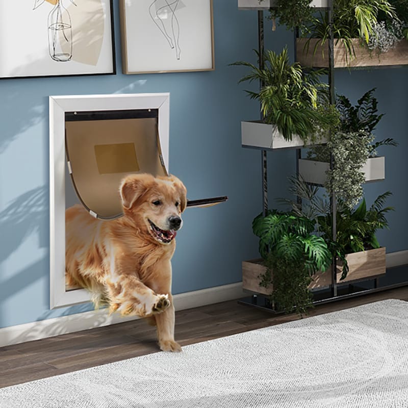 Puerta Abatible Para Perro Gato Mascota Zooko