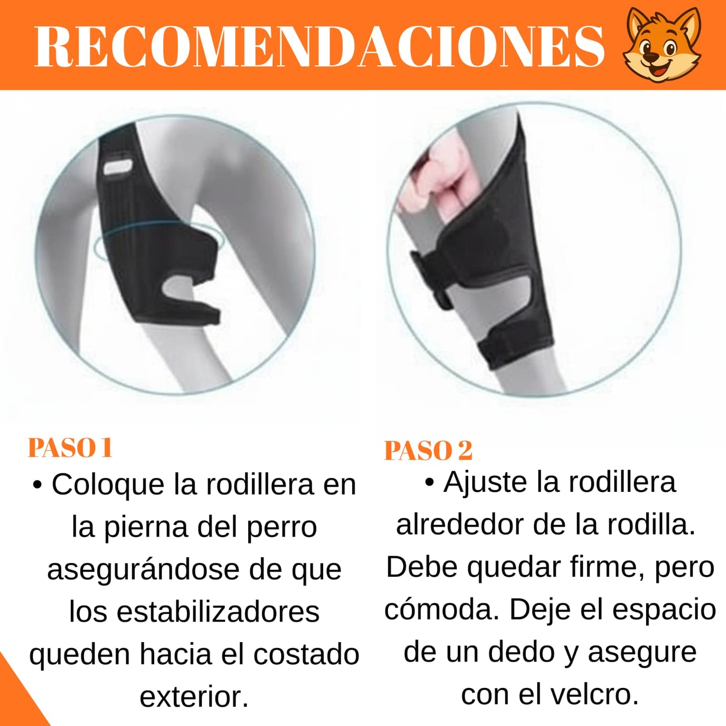 Rodillera Zooko Ortopédica Protector Perro Soporte Rodilla