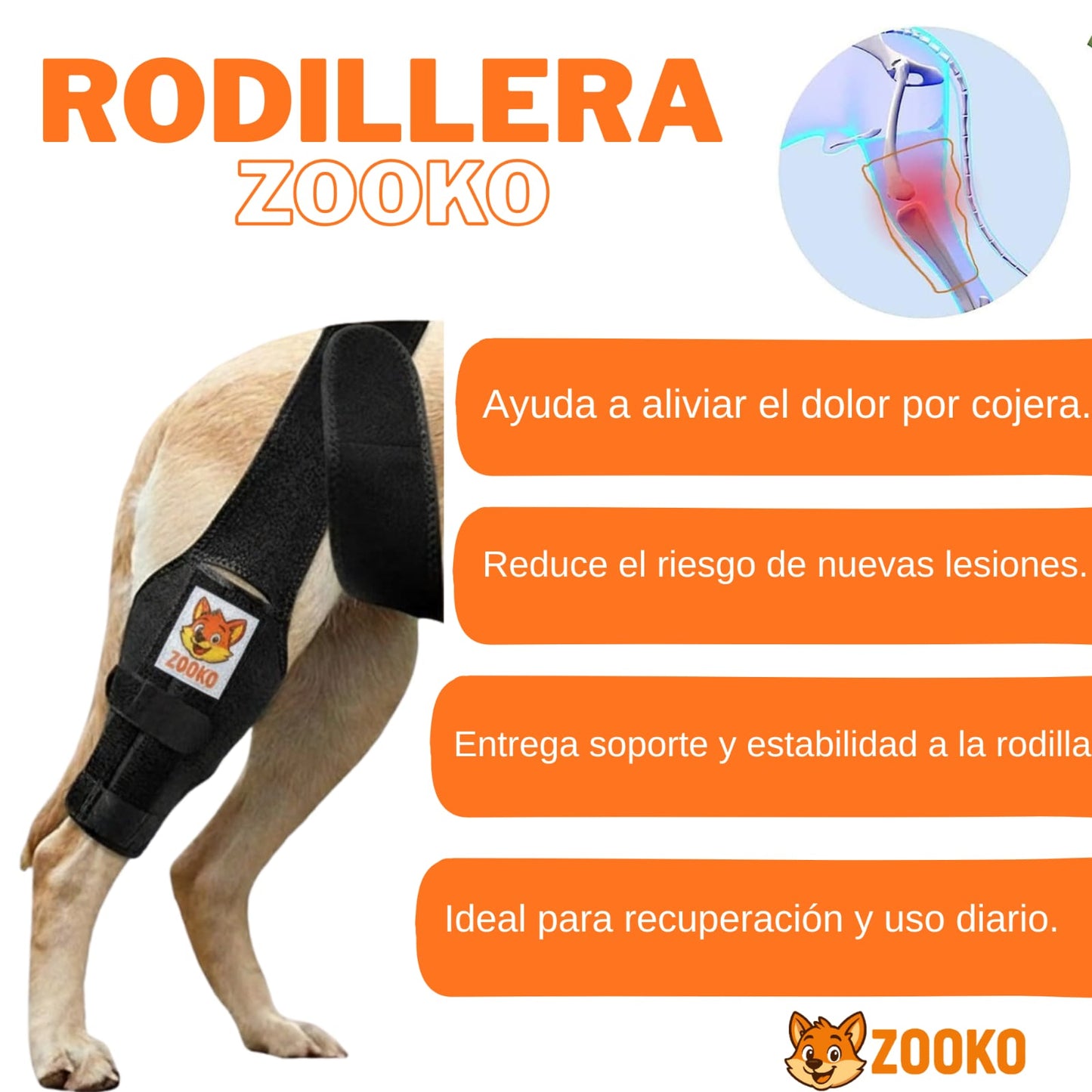 Rodillera Zooko Ortopédica Protector Perro Soporte Rodilla