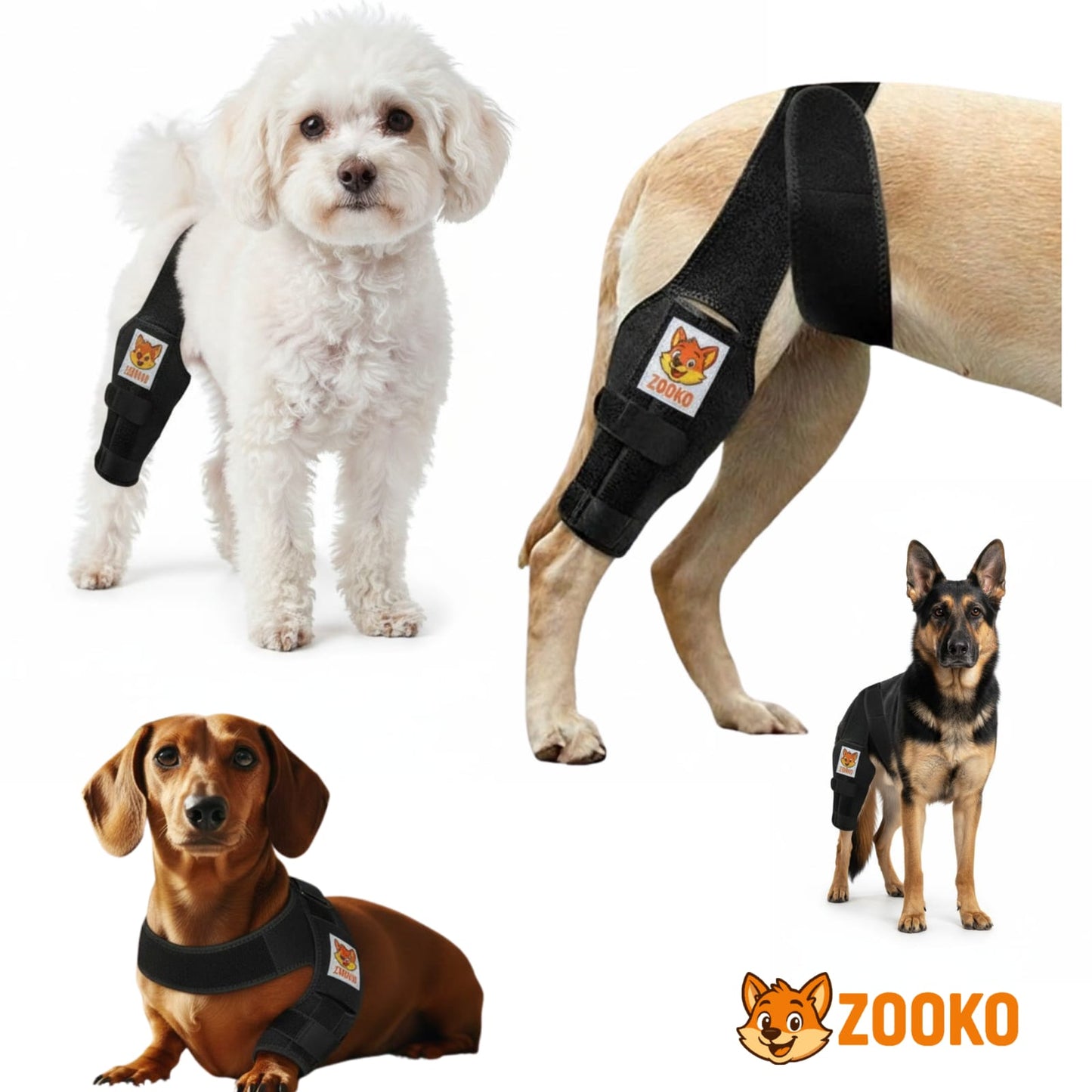 Rodillera Zooko Ortopédica Protector Perro Soporte Rodilla