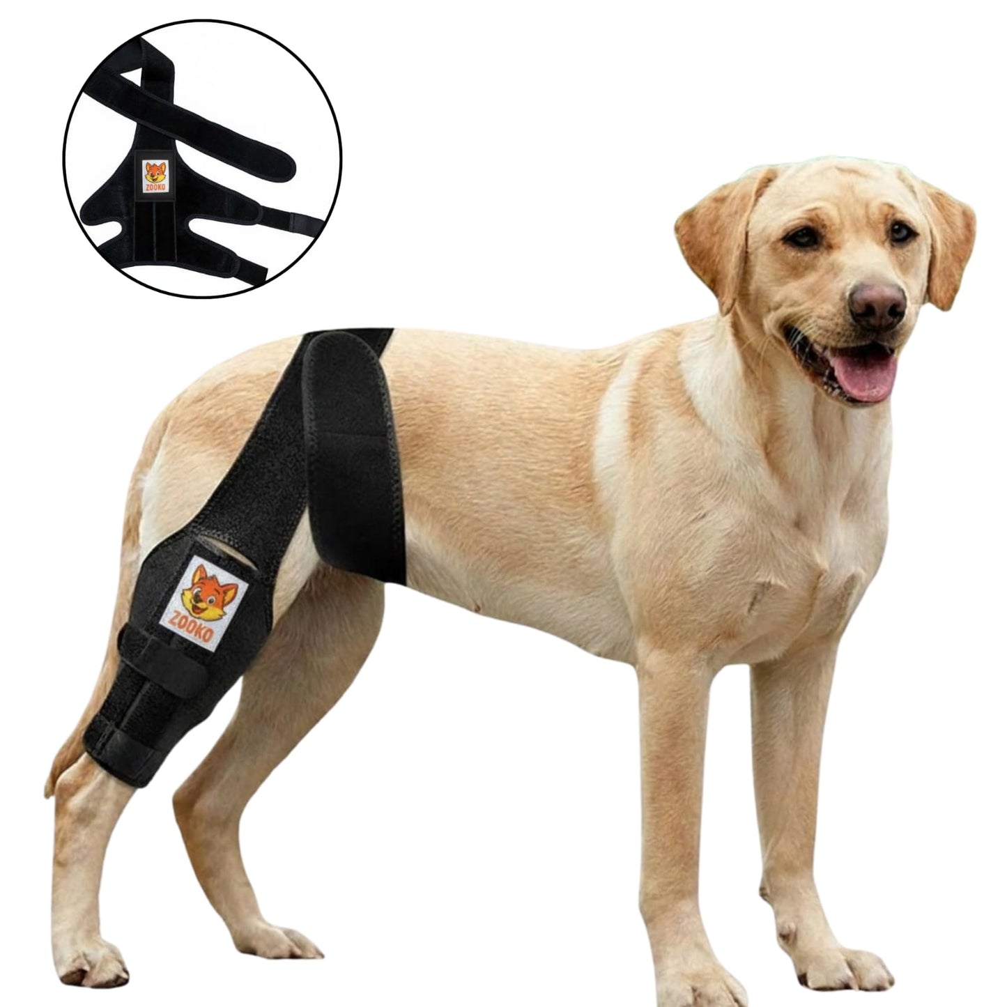Rodillera Zooko Ortopédica Protector Perro Soporte Rodilla