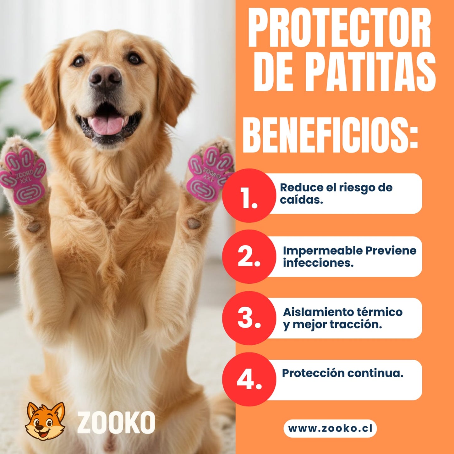 Protectores Zooko Almohadillas Silicona Para Perro Celeste
