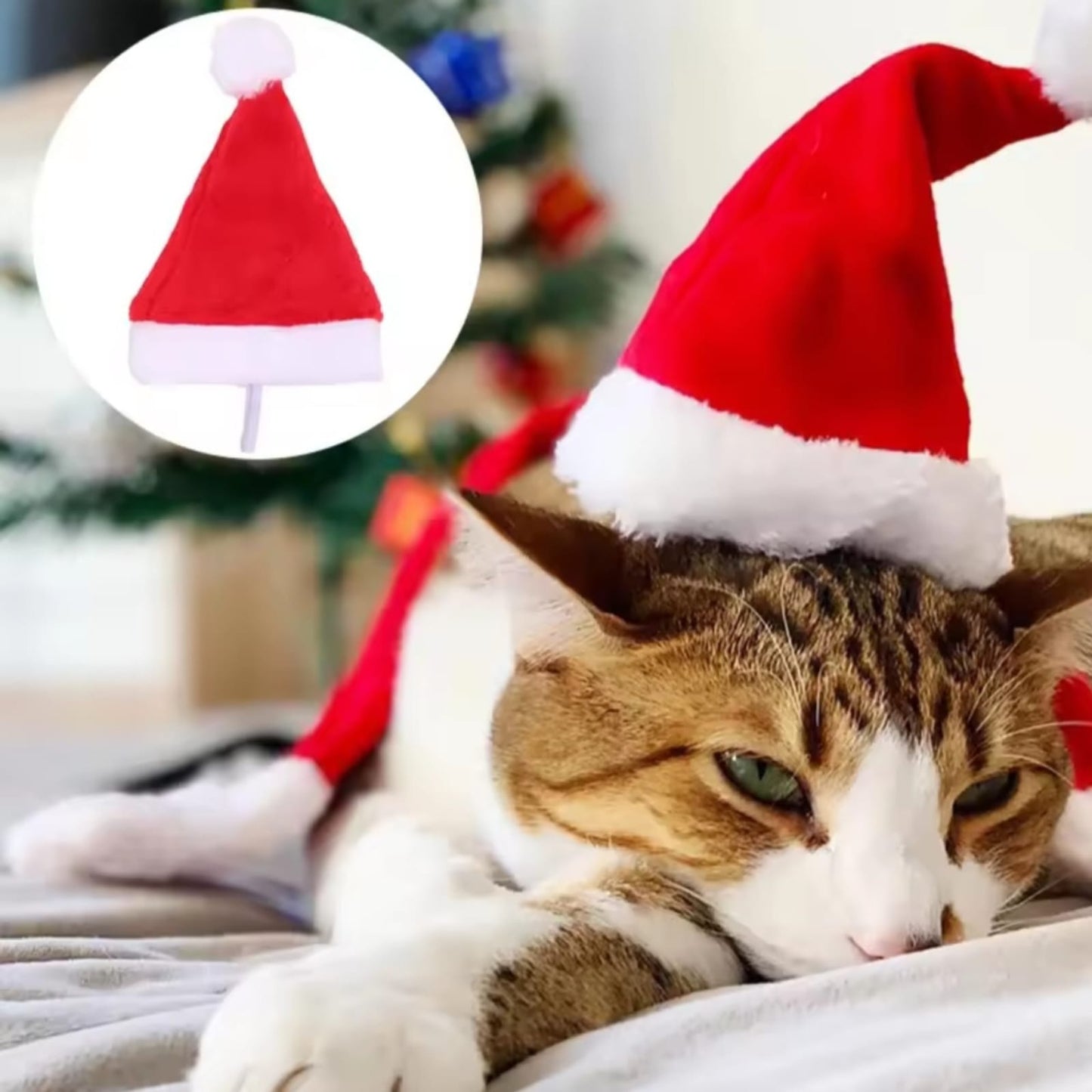 Gorro Pascuero Navidad Para Mascotas Perros, Gatos Zooko