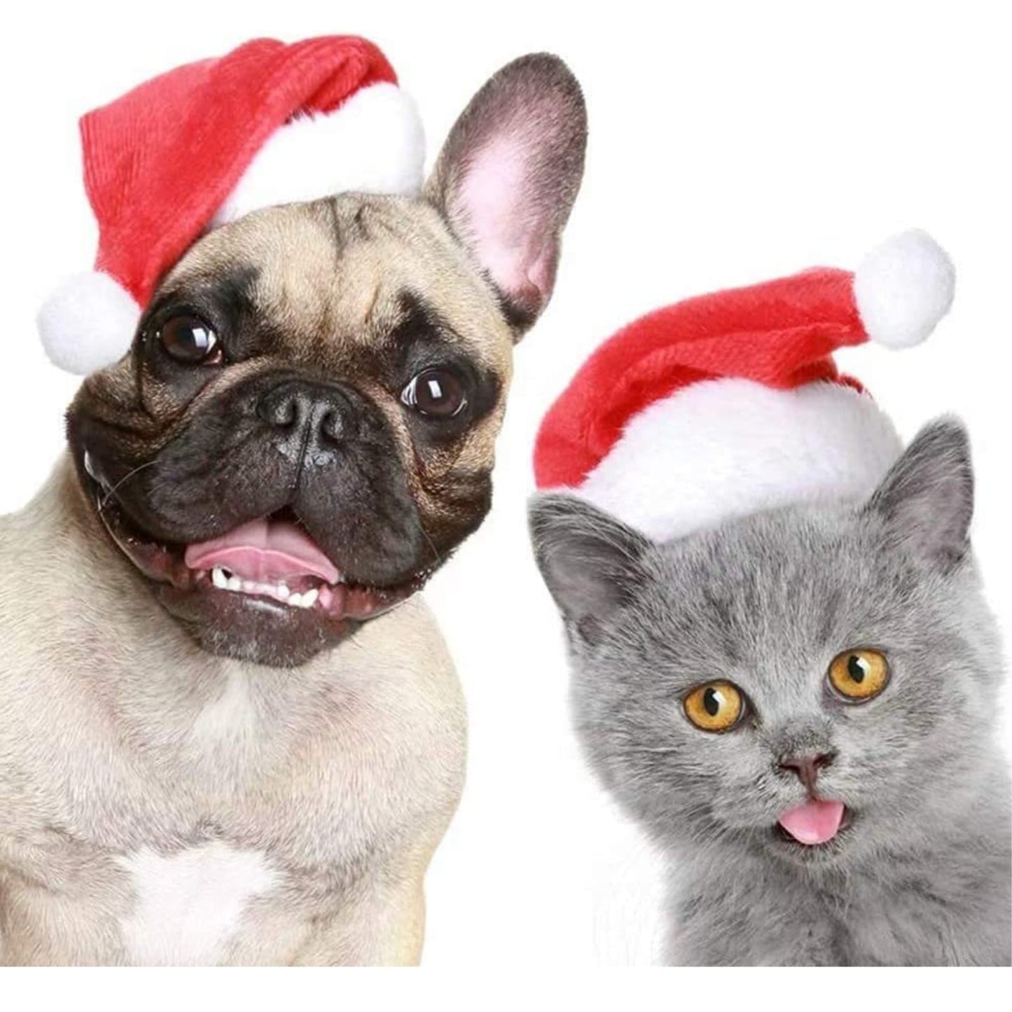 Gorro Pascuero Navidad Para Mascotas Perros, Gatos Zooko