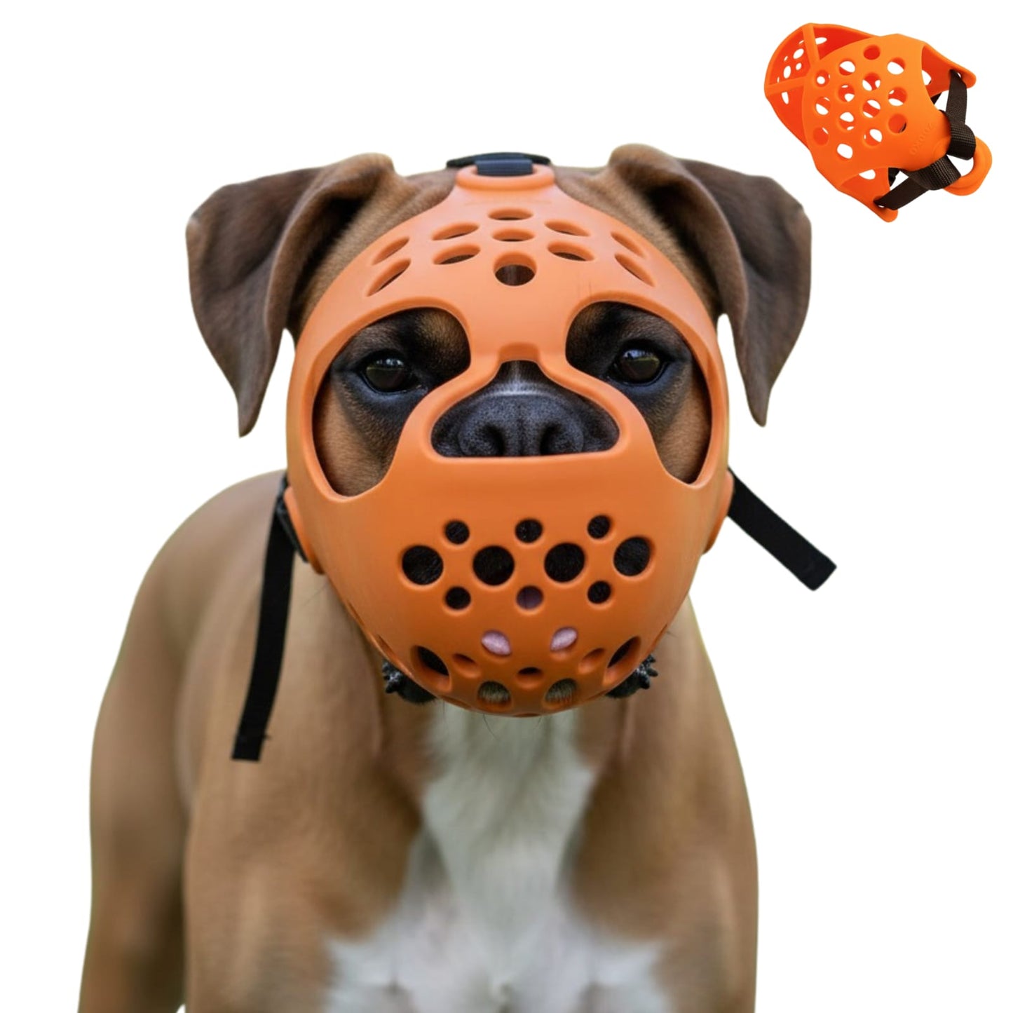 Bozal Para Perros Braquiocefálico Pug Braquicéfalo Zooko