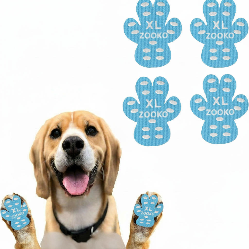 Protectores Zooko Almohadillas Silicona Para Perro Celeste