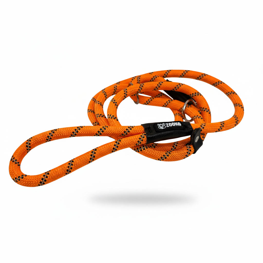 Correa Slip Leash Antitirones Correa Y Collar Perros Zooko