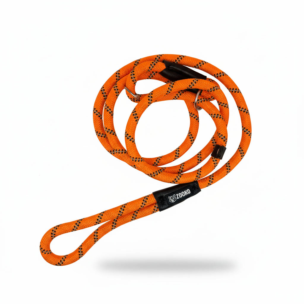 Correa Slip Leash Antitirones Correa Y Collar Perros Zooko