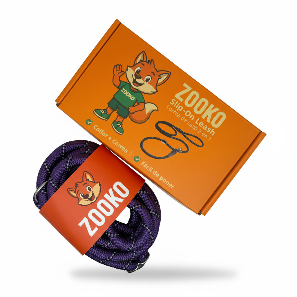 Correa Slip Leash Antitirones Correa Y Collar Perros Zooko